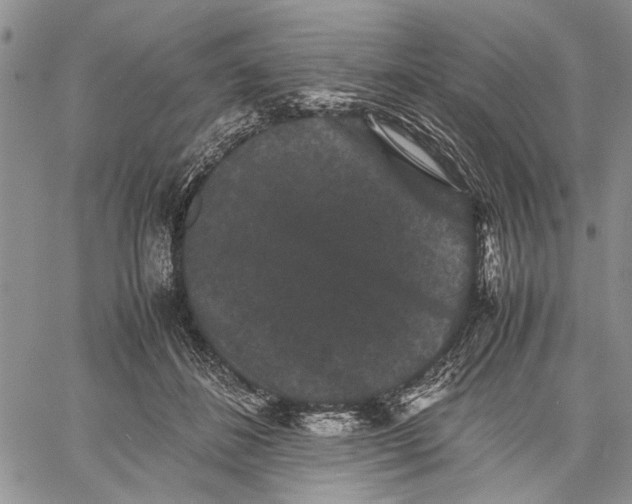 X0000060550508200511241229