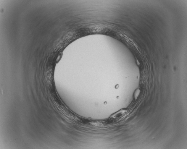 X0000060550509200511241229