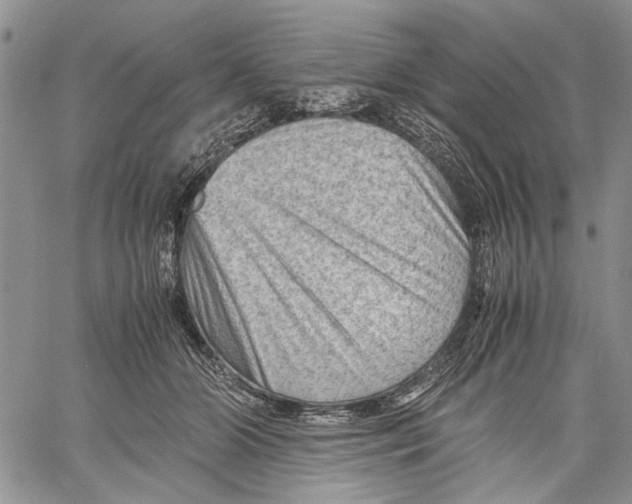 X0000060550510200511241229