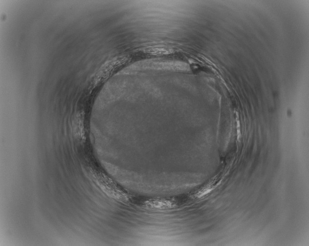 X0000060550512200511241229