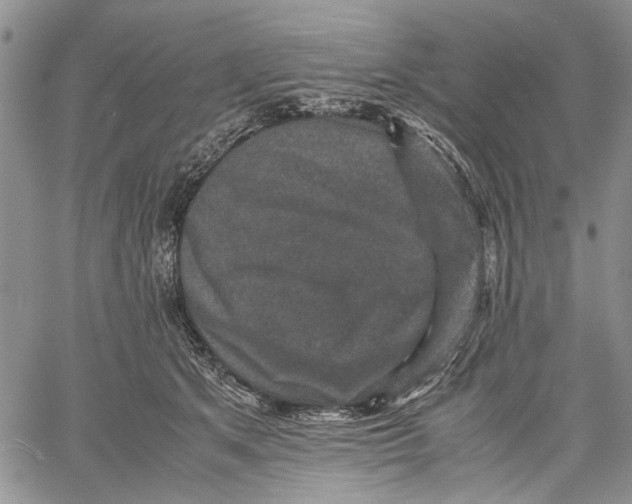 X0000060550513200511241229