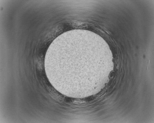 X0000060550515200511241228