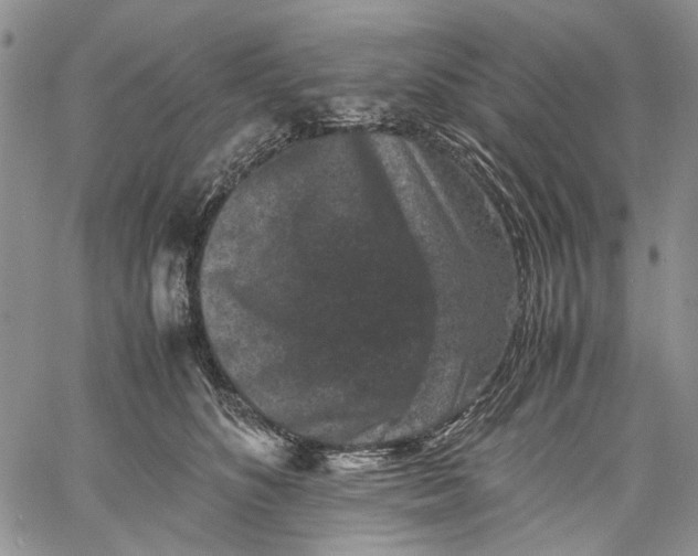 X0000060550516200511241228