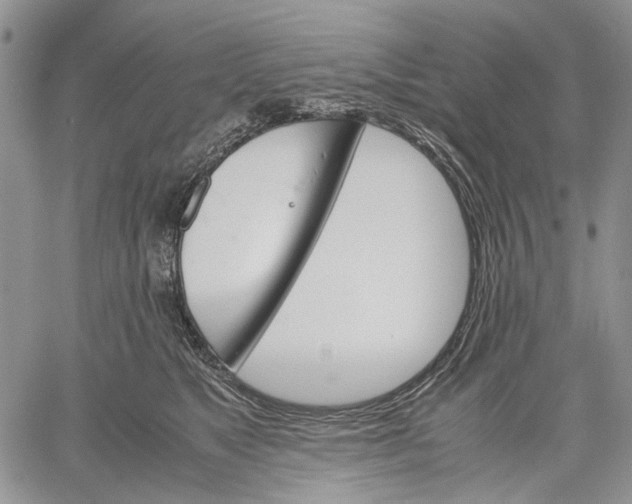 X0000060550517200511241228