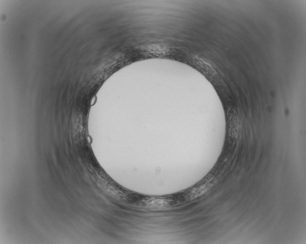 X0000060550518200511241228