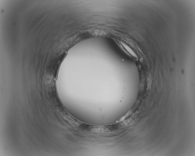 X0000060550521200511241228