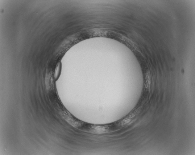 X0000060550522200511241228