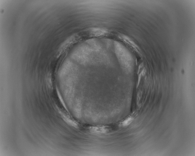 X0000060550524200511241228