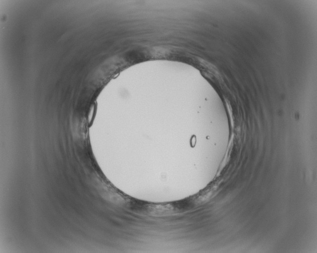 X0000060550525200511241228