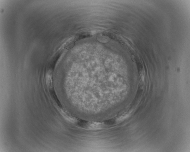 X0000060550527200511241228