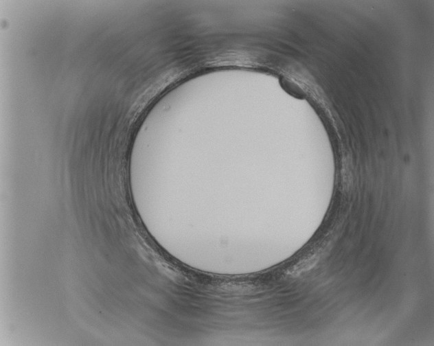 X0000060550529200511241227