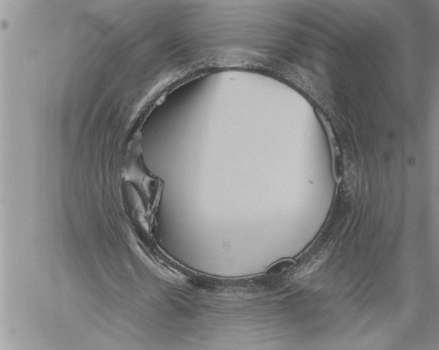 X0000060550530200511241228