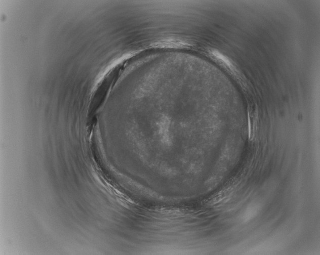 X0000060550531200511241228