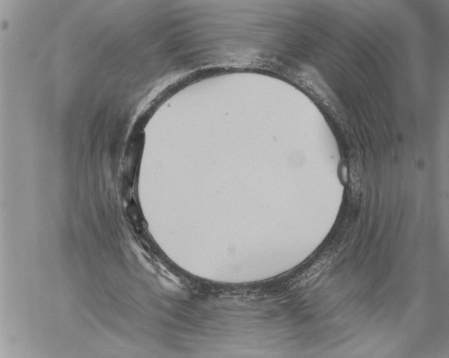 X0000060550532200511241228