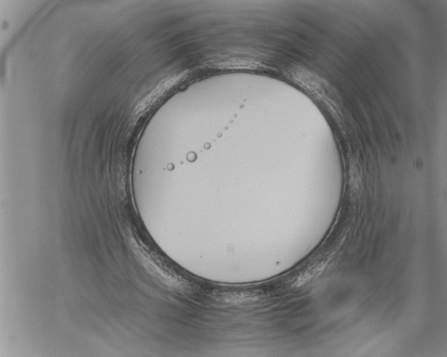 X0000060550533200511241228