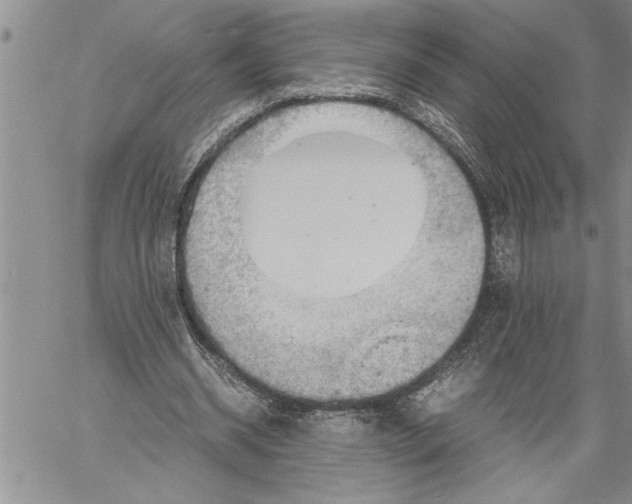 X0000060550534200511241228