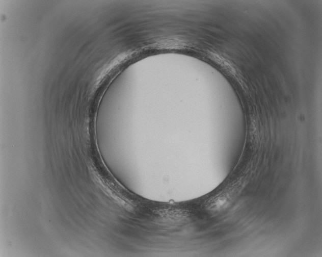 X0000060550535200511241228