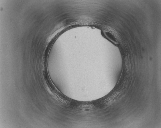 X0000060550536200511241228