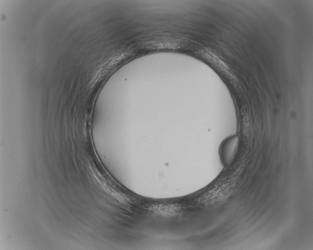 X0000060550537200511241228