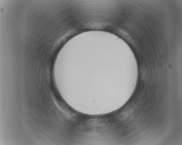 X0000060550538200511241228