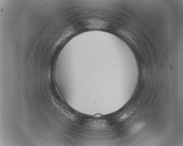 X0000060550539200511241228