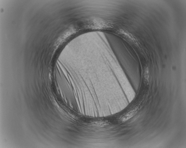 X0000060550540200511241228