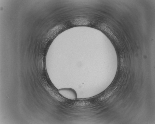 X0000060550541200511241228