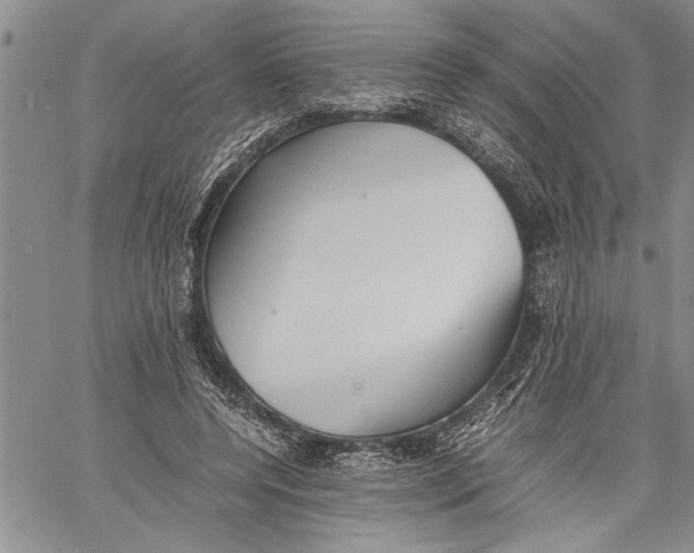 X0000060550544200511241228