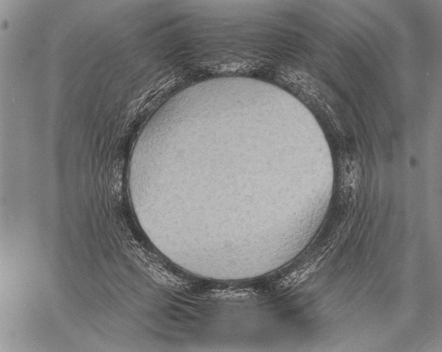 X0000060550545200511241228