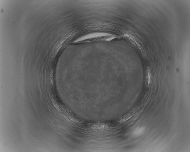 X0000060550547200511241228