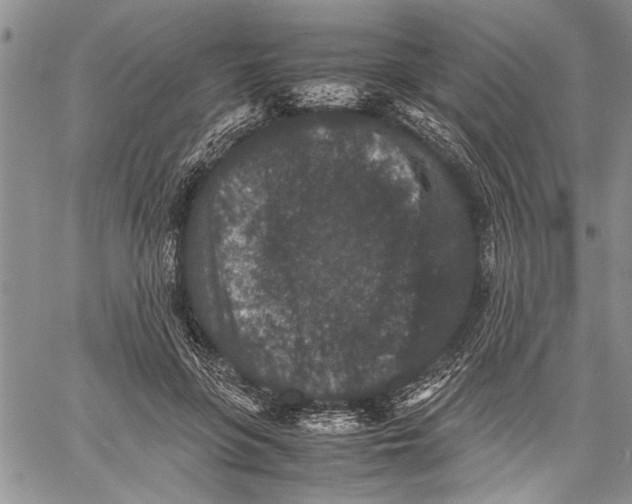 X0000060550551200511241228