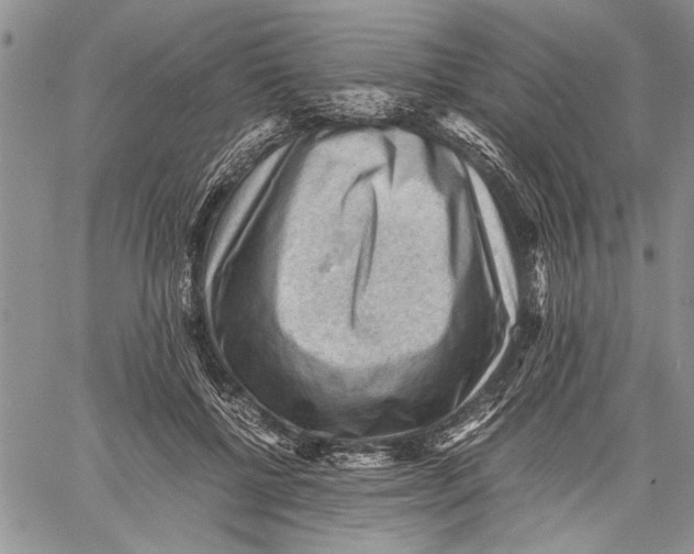 X0000060550552200511241228