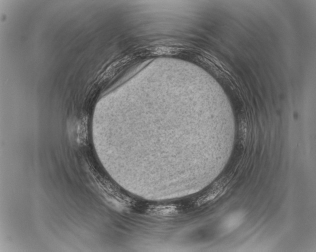 X0000060550554200511241228