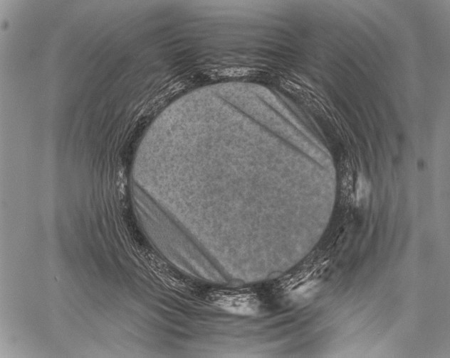 X0000060550555200511241228