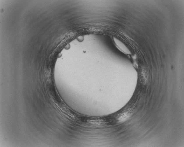 X0000060550556200511241228