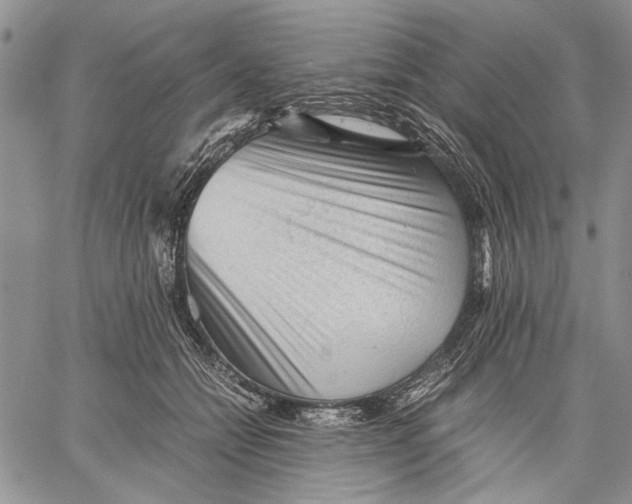 X0000060550558200511241228