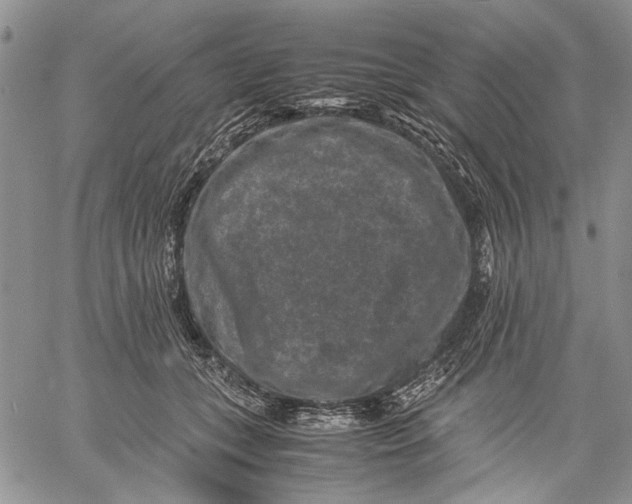 X0000060550559200511241228