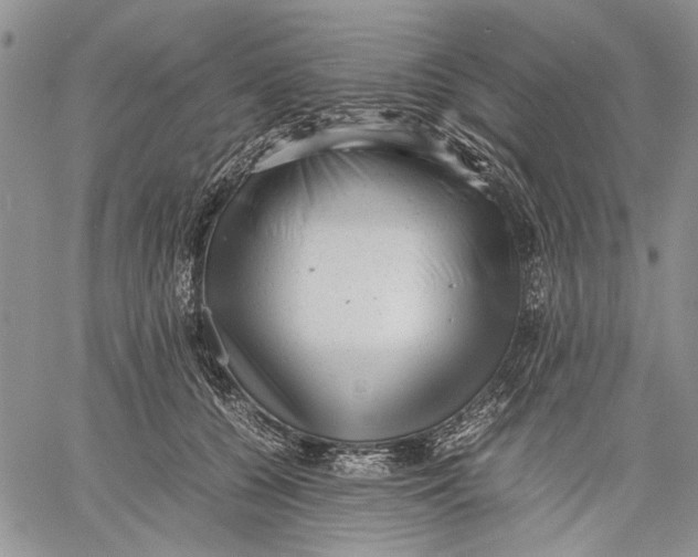 X0000060550560200511241228