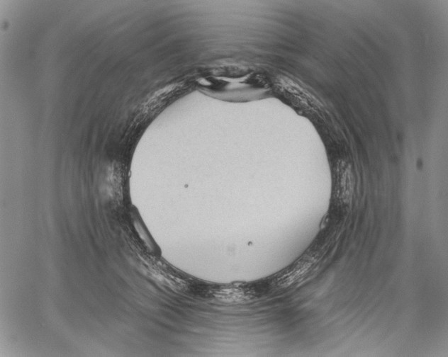 X0000060550562200511241228