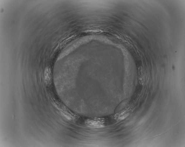 X0000060550563200511241228