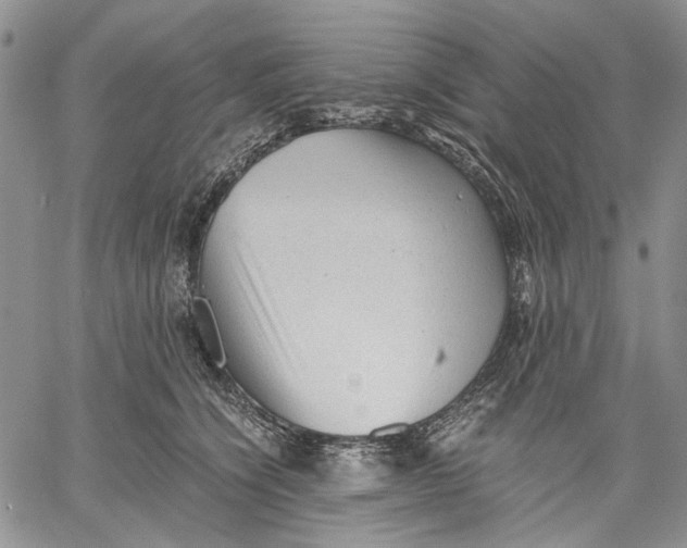 X0000060550564200511241228