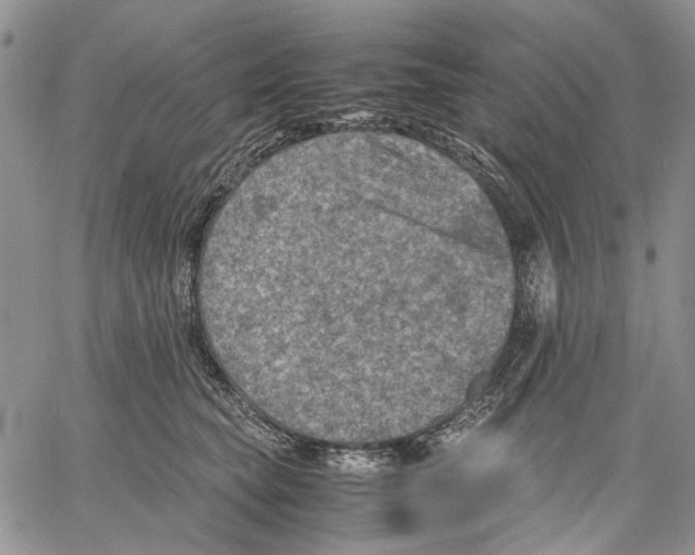 X0000060550565200511241228