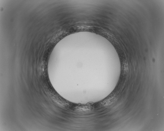 X0000060550567200511241228