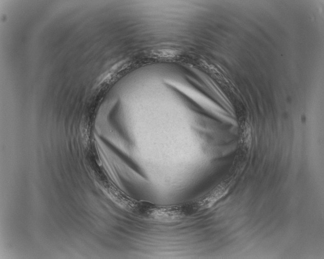 X0000060550568200511241228