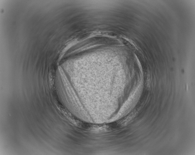 X0000060550569200511241228