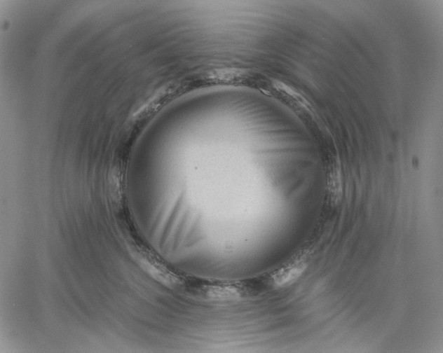 X0000060550572200511241228