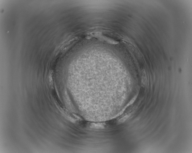 X0000060550573200511241228