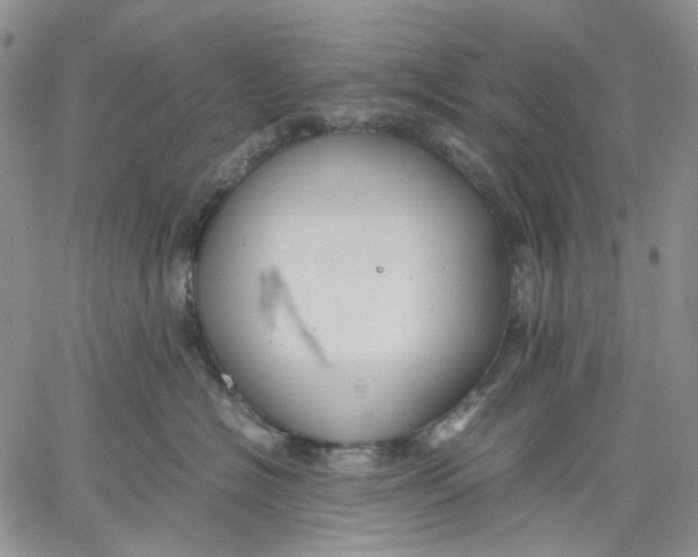 X0000060550574200511241228