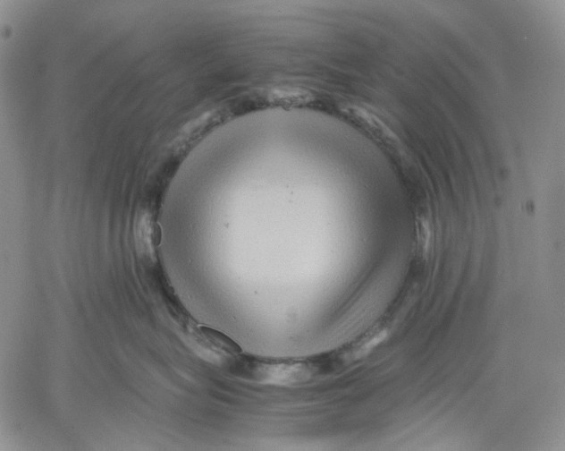 X0000060550575200511241228