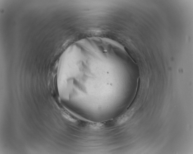 X0000060550576200511241228